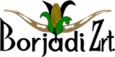 Borj&aacute;di Zrt