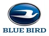 Blue Bird